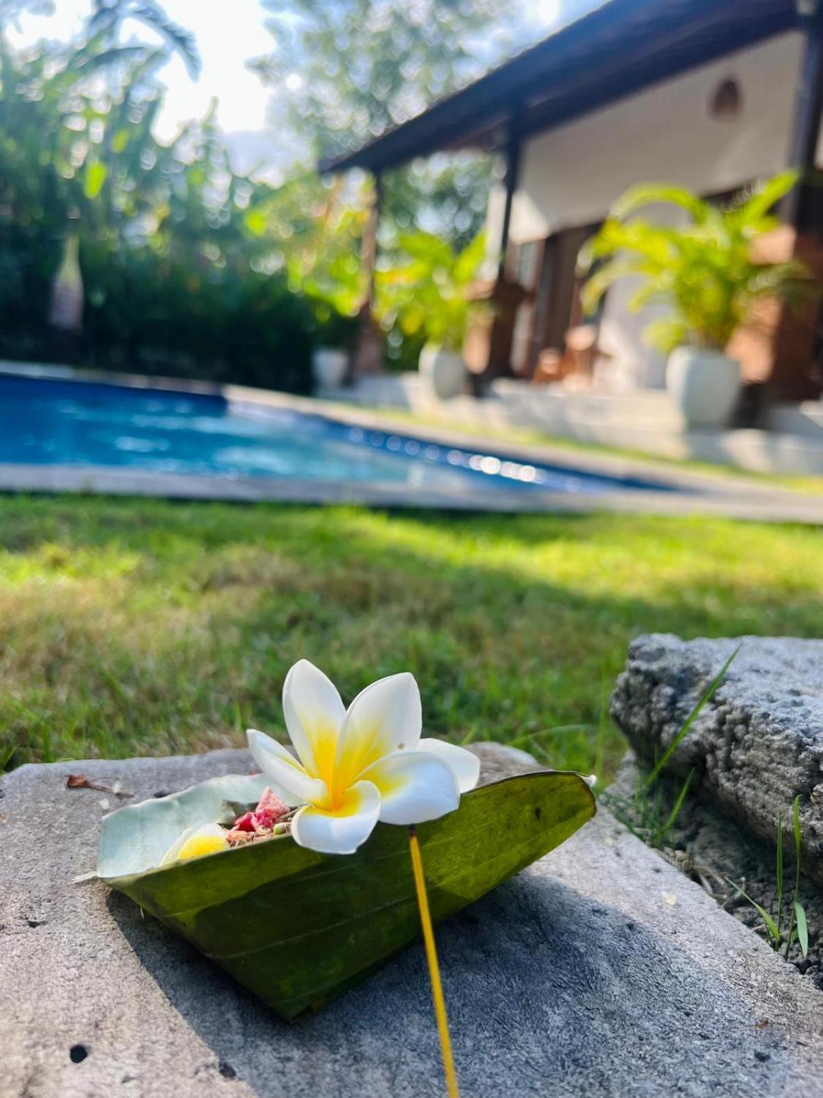 Wiryaroja Guest House Canggu Exteriör bild